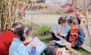 会观察